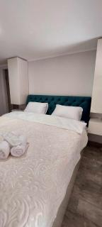 Forest Apartments - 2