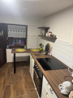 Simsir villa Novi Sad wifi - 6