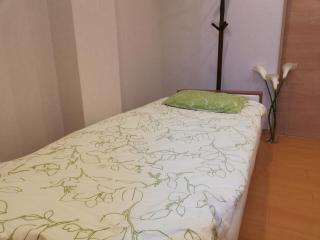 3池袋最中心 两室一厅 池袋站10分 2 rooms Ikebukuro center 10 mins to ST Max 7P 直达新宿 涉谷 表参道 池袋 上野 代代木 银座 原宿 - Tokyo - 2