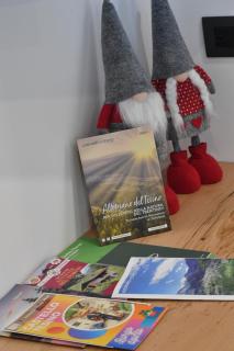 Chalet Ginepro - Chalet Maso Vecchio con vista montagne Passo Brocon, Trentino - 1