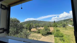 Villa Katerina - Agios Georgios Pagon - 7