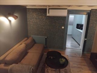 Duplex Viennois - Vienne - 7