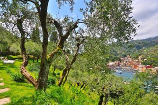 ll Grecale Portofino by KlabHouse - Portofino - 3