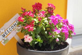 TheYellow House Fully Equipped 2BR apartment - Andipáta - 8