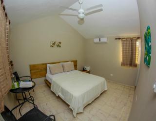 Paradise Island Beach Resort - Punta Rucia - 6