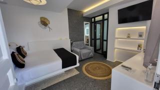 Mykonos Double Luxury Mini Suites-With External Hot spa Adults only - Ano Mera - 3