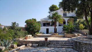 Apartment in Maslinica 70m from the sea - 6