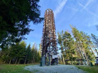 Dráždní domek na samotě u lesa - 9