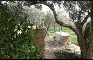 Villa paradiso - Castellammare del Golfo - 7