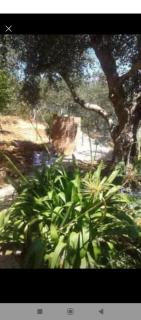 Villa paradiso - Castellammare del Golfo - 8