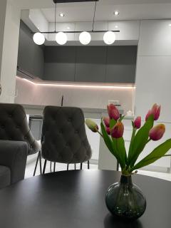Apartman Tara Bar - Bar - 4