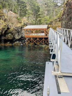 Shearwater Cove - 5