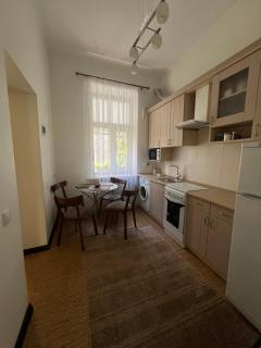 Wonderful Apartment Near The Old City - Lviv - 1