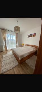 Smile house - Brasov - 5