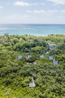 Vida Silvestre - Tulum - 9