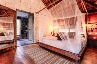 Vida Silvestre - Tulum - 3