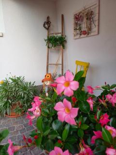 Casa Vacanze Paola - Romeno - 9