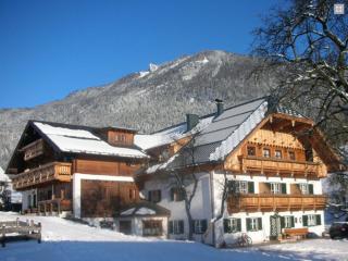 Reiterhof Suassbauer - St. Wolfgang - 3