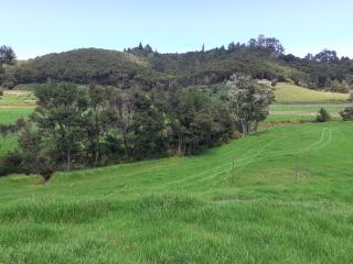 Dream Weavers Farm Cabin - 7