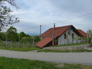 Holiday home in Dragatus - Kranjska (Krain) 50798 - Dragatuš - 6