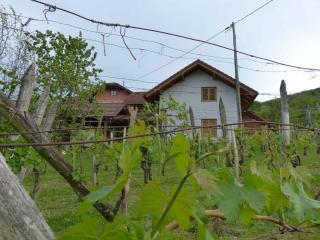Holiday home in Dragatus - Kranjska (Krain) 50798 - Dragatuš - 4
