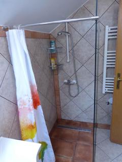 Holiday home in Dragatus - Kranjska (Krain) 50798 - Dragatuš - 1