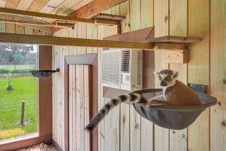 Wildlife Sanctuary On-Site Modern Webster Home! - Webster - 9