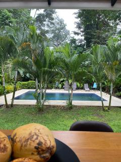 Tres Lodge- Private Pool - Nature and Comfort for Groups - Cocles - 8