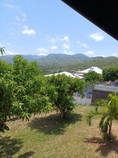Ani studio - Vieux-Habitants - 3