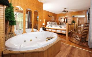 Cozy Bear Camp - Sevierville - 6