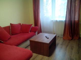 Apartment Syrec - Kiev - 5