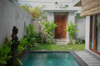 Jaya Oasis Villa 3 - Ubud - 0