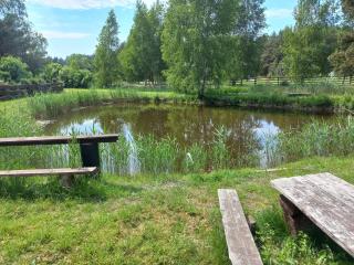 Papė Baltija - Pape - 2