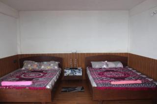 Light Inn - Darjeeling - 3