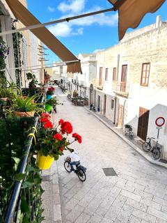 Casa Riccio Di Mare - Favignana - 5