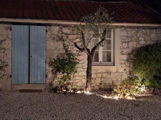 La nouvelle vie en Quercy - Montaigu-de-Quercy - 4