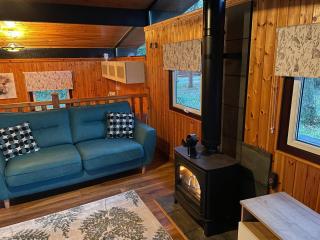 11 Tan-y-coed Woodland Lodge - 5