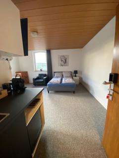 Bluestone Appartments 25qm free and near parking - Blaustein - 4