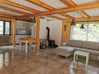 Leśne Wspomnienia - 3