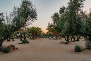 Hábimo - Valle de Guadalupe - 4