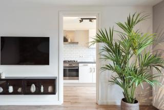 Beach&Dunes Apartment - Zandvoort - 8