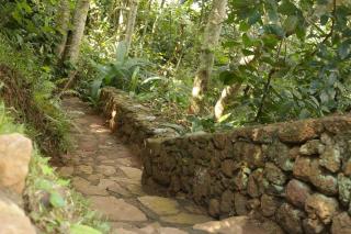Nkofu Forest Cottage - Kitende - Wakiso - 3