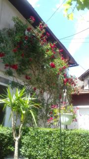 Modern&Cozy Bosnian house with GARDEN+FREE parking - Sarajevo - 7