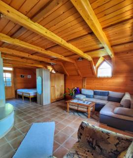 Vineyard cottage Kralj - Uršna Sela - 6