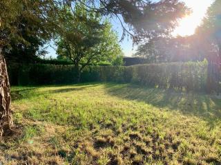 Haus am See mit Kamin in Mecklenburg - 2