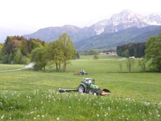 Barmbichlhof - Anger - 7