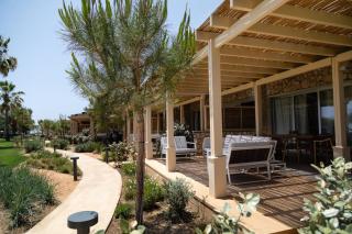 Elya Beach Luxury Suites - Ayios Theodhoros - 7
