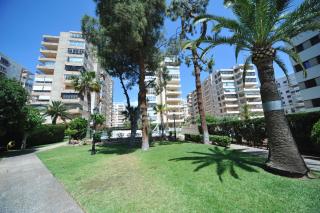 Madeira Superior Orangecosta - Benicàssim - 9