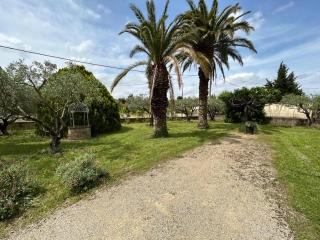 Villa Les Oliviers - Orange - 4
