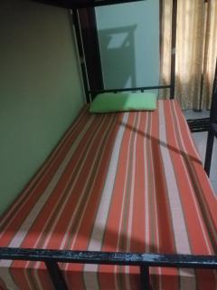 Jungle Nature Villa - 2